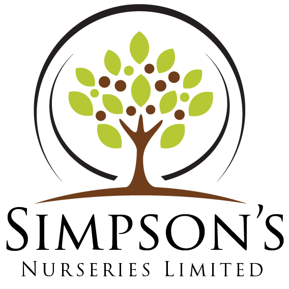 Simpson's Nurseries Ltd