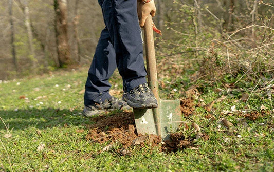 5 Common Mistakes to Avoid When Planting Trees - Simpson's Nurseries Ltd