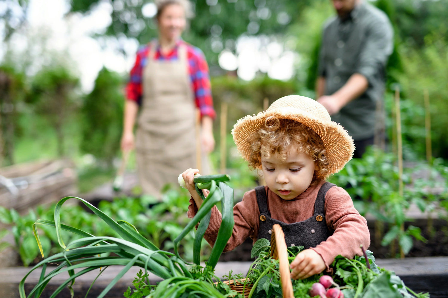 Children’s Gardening Tools - Simpson's Nurseries Ltd