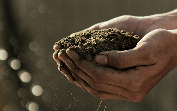 Avoid Pesticides & Go Organic