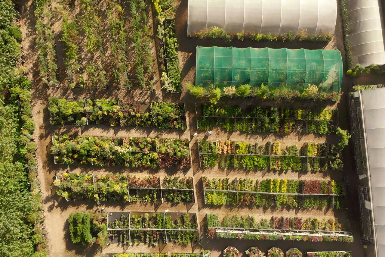 Quality From Seed to Shelf: