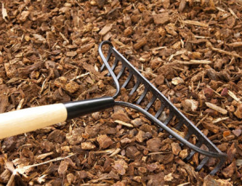 How to apply a bark mulch
