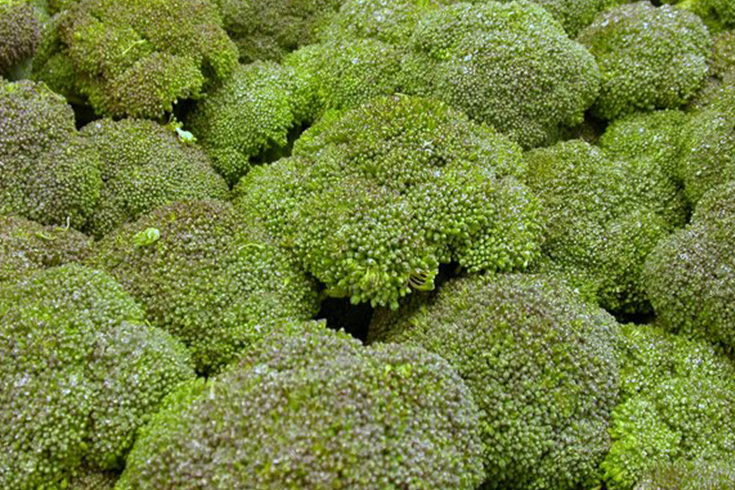 broccoli2