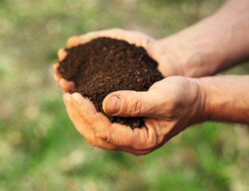 What is compost?