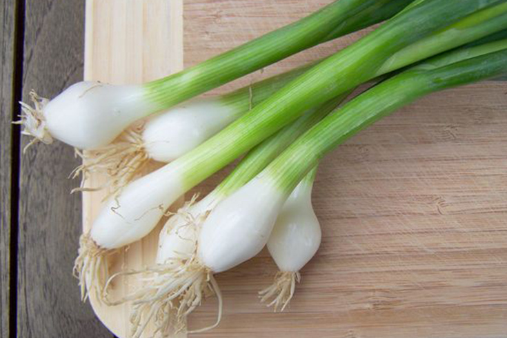 springonion