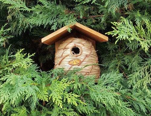 National Nest Box Week