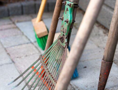 Cleaning up your garden tools