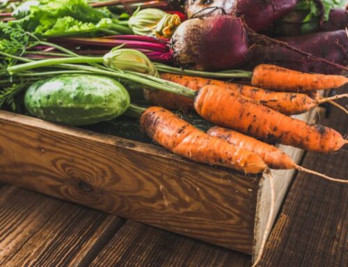 Get into Veganuary: Vegan gardening tips