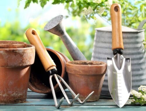 How to choose the right garden tools