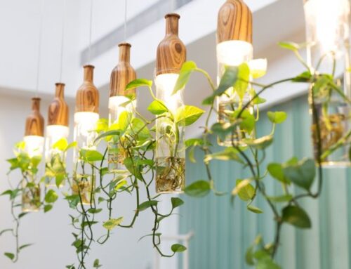 Home trends: hanging plants & lights